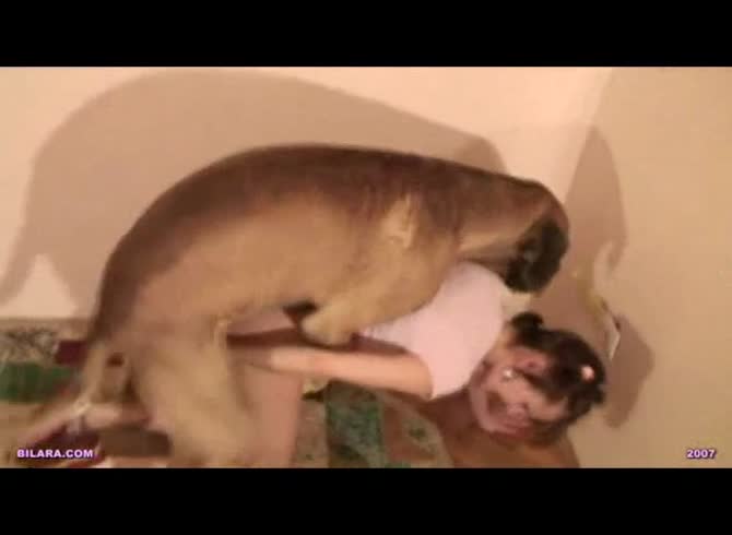 Video :Young teen animal sex with a brown dog